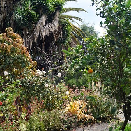 洛斯·亚诺斯·德·阿里丹La Casita Del Jardinero别墅 外观 照片