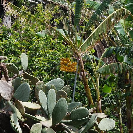 洛斯·亚诺斯·德·阿里丹La Casita Del Jardinero别墅 外观 照片