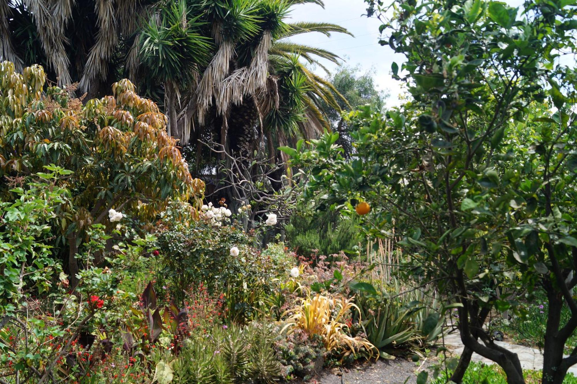 洛斯·亚诺斯·德·阿里丹La Casita Del Jardinero别墅 外观 照片