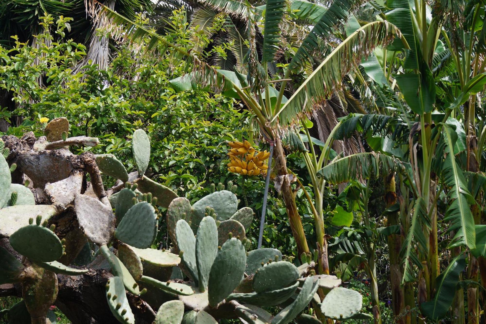 洛斯·亚诺斯·德·阿里丹La Casita Del Jardinero别墅 外观 照片