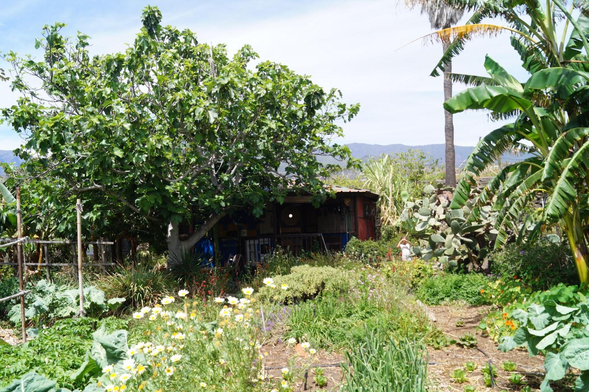 洛斯·亚诺斯·德·阿里丹La Casita Del Jardinero别墅 外观 照片